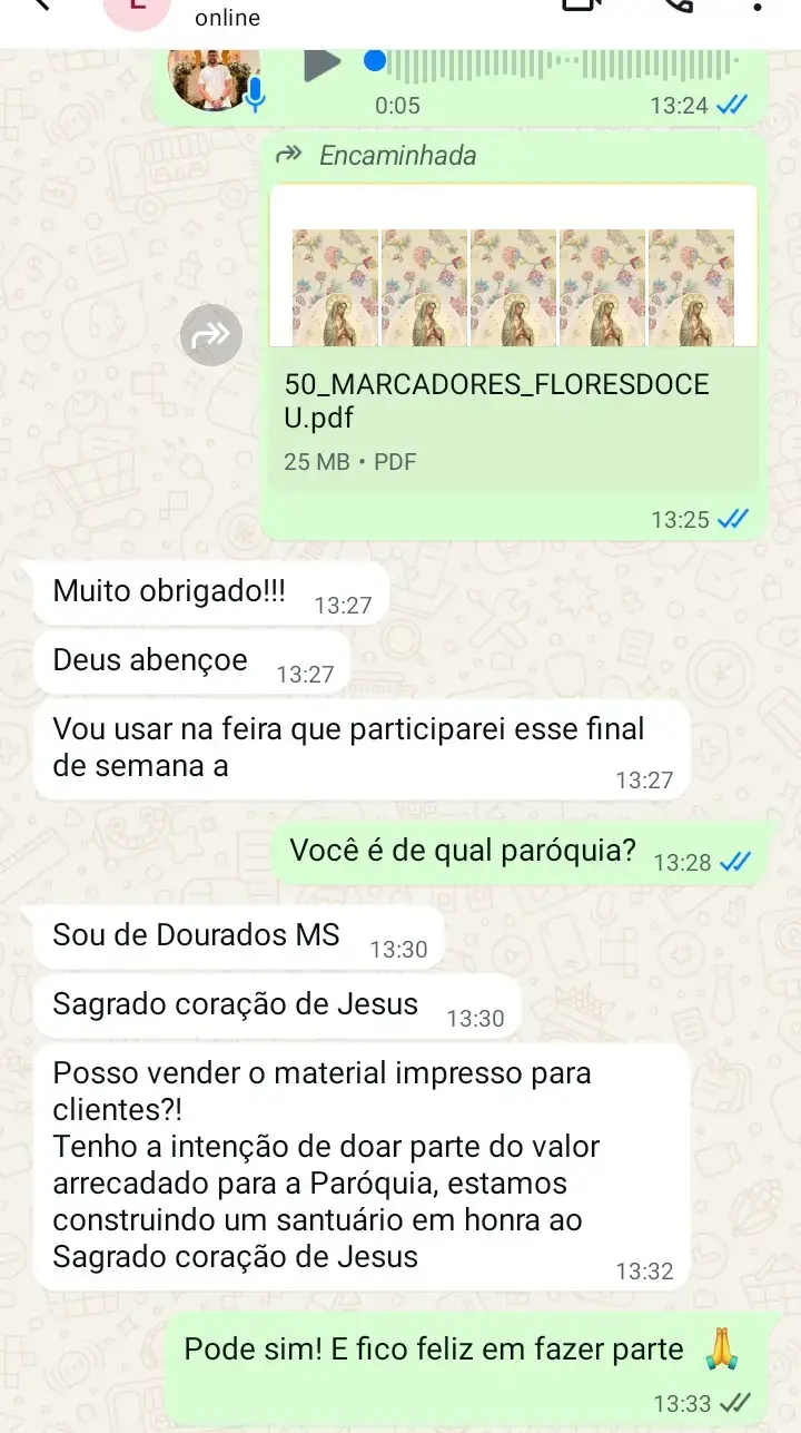 Captura de tela do depoimento 2